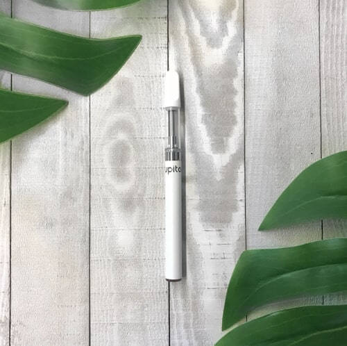 Jupiter CCELL® Liquid6 Vaporizer Laying on Wood Panels with Palm Leaves
